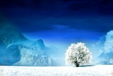 绍兴诸暨银行个人借款利率揭秘：揭秘低息秘密，轻松贷款无忧